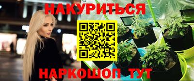 прущие крисы Будённовск